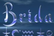 Logotipo de Brida