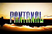 Logotipo de Pantanal