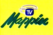 Logo - TV Mappin